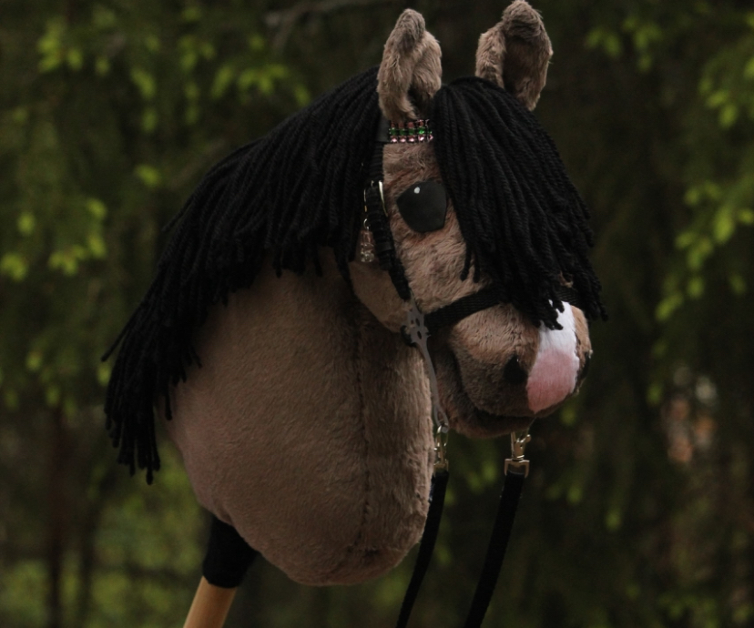 ©:@kht.aamunkoi , Ama Viime vuonna valmistunut hevonen